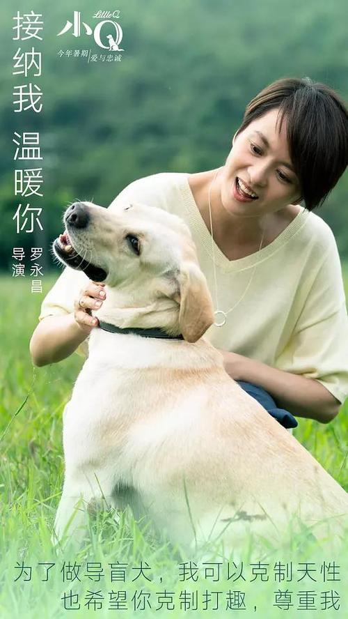 中国驾驶证怎么仿制